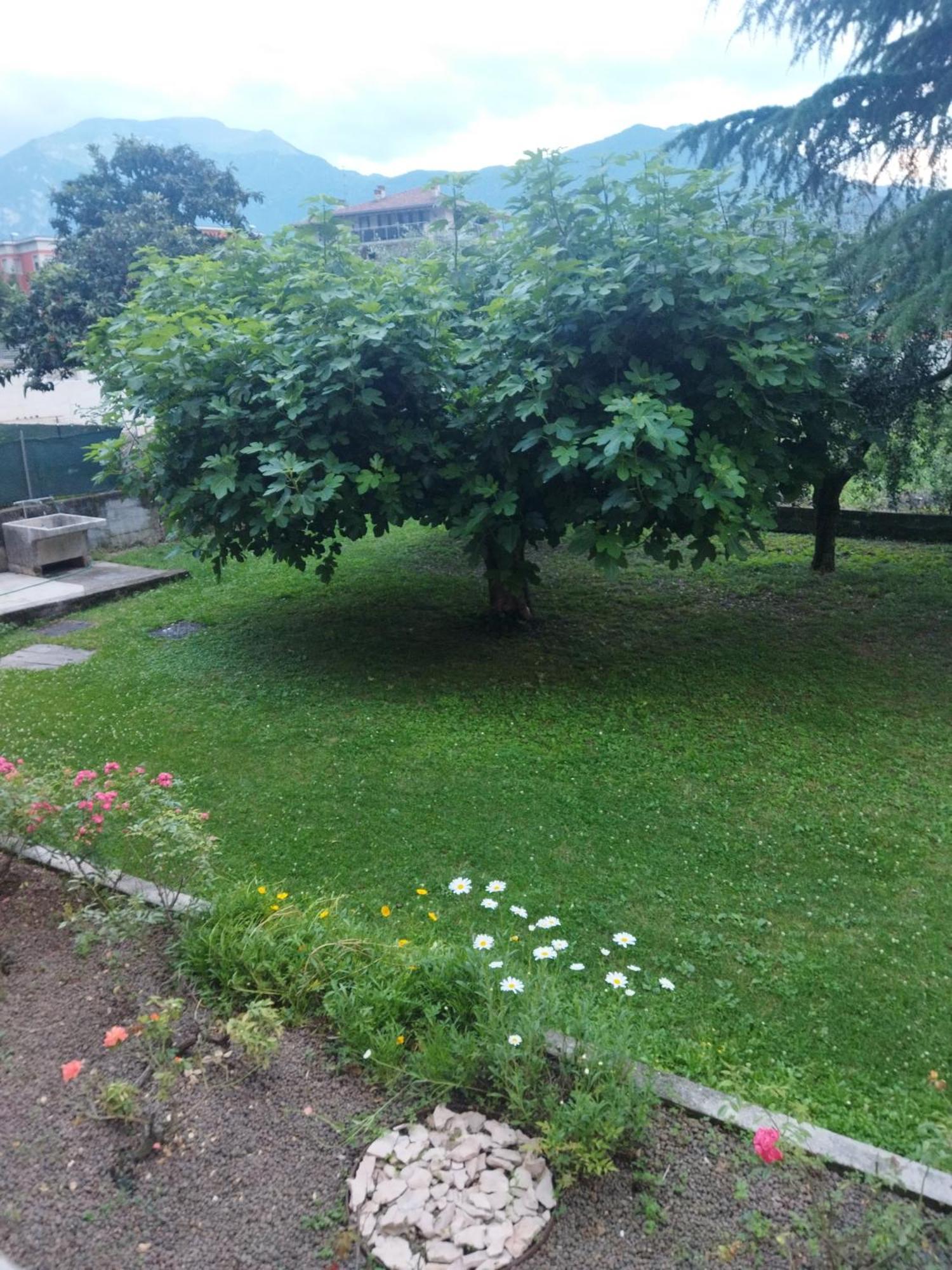 Rose Garden House Wi-Fi Apartment Riva del Garda Exterior photo